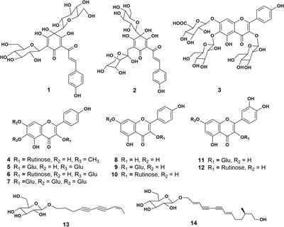 Effects and mechanisms of 6-hydroxykaempferol 3,6-di-O-glucoside-7-O-glucuronide from Safflower on endothelial injury in vitro and on thrombosis in vivo